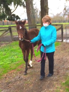 Star and Sara Weds 2